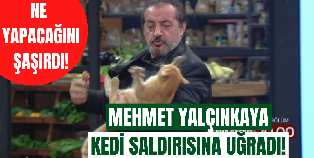 MasterChef Türkiye'nin 142. bölüm fragmanı yayınlandı! Mehmet Yalçınkaya, kedinin saldırısına uğruyor